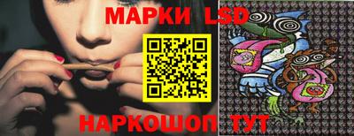apvp Гатчина