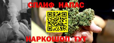 мдпв Гай
