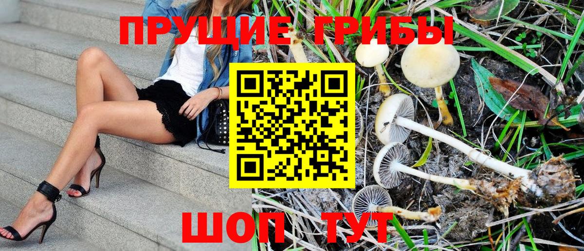 Галлюциногенные грибы Psilocybe Мариинск