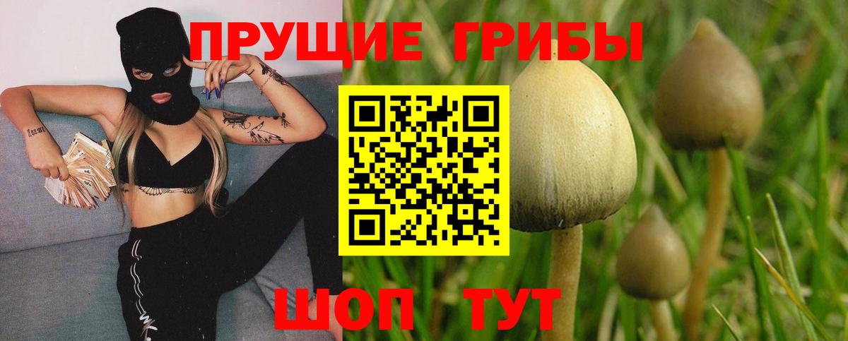 Галлюциногенные грибы Magic Shrooms  Вход с VPN  Мариинск 